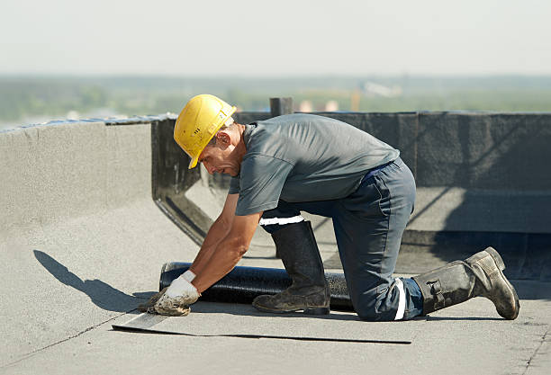 Best DIY Insulation Kits and Guidance in East Dubuque, IL